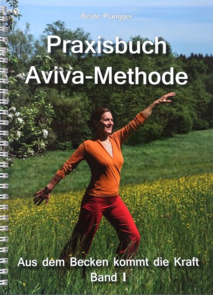 Praxisbuch Aviva-Methode